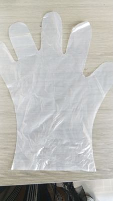OEM 堆肥可能 生物分解可能 使い捨て手袋 食品加工