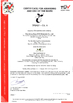 中国 Shandong Aisun Environmental Protection Material Co., Ltd. 認証